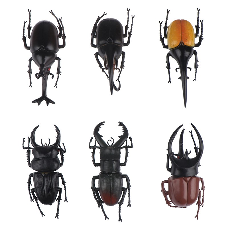Simulation beetle Toys Special Lifelike Model insect Toy teaching aids joke QH