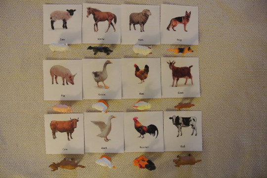 Montessori Common Farm Animals 3 Part Cards with Miniatures