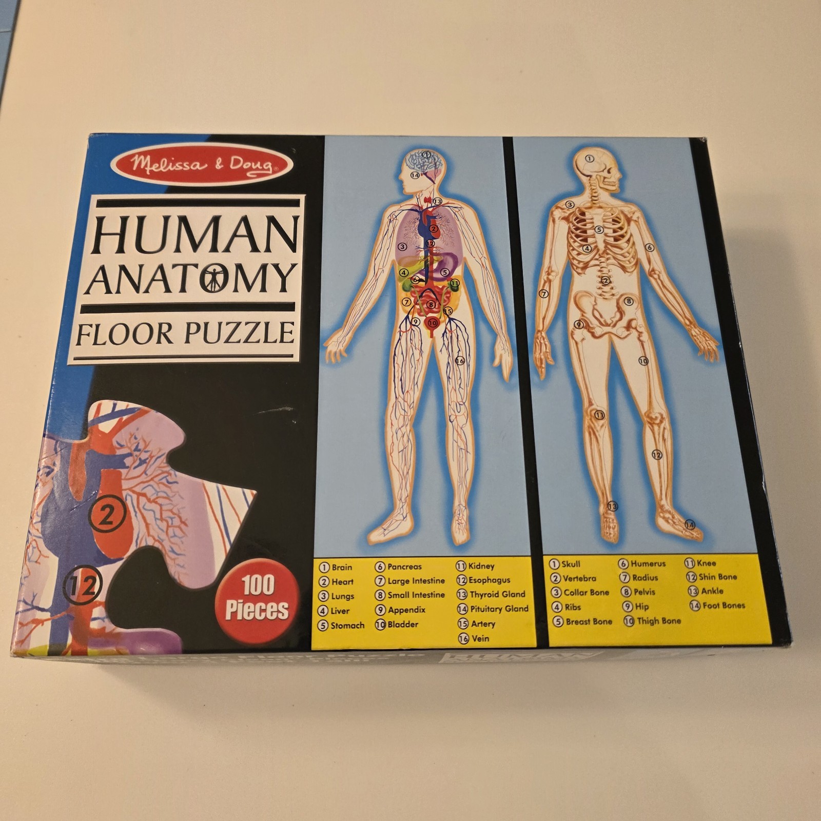 Melissa & Doug Human Anatomy 4’ Floor Puzzle #445 100 Pieces Complete