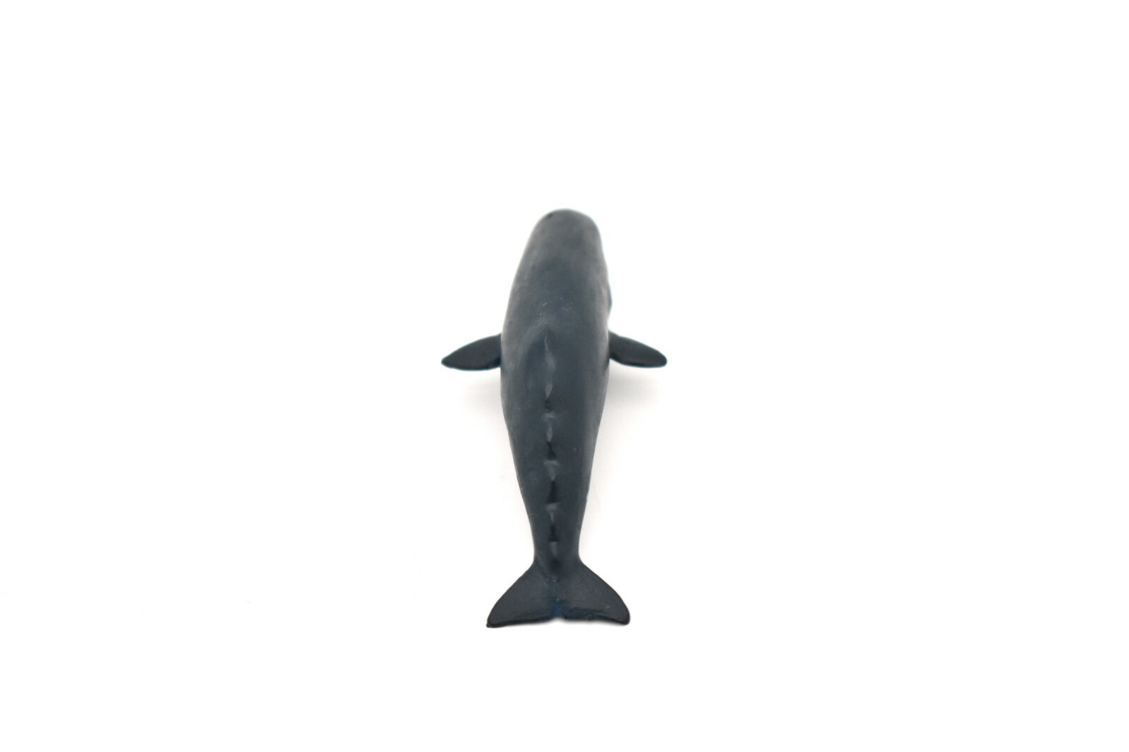 Sperm Whale, Very Nice Plastic Replica 3″ F1007 B42