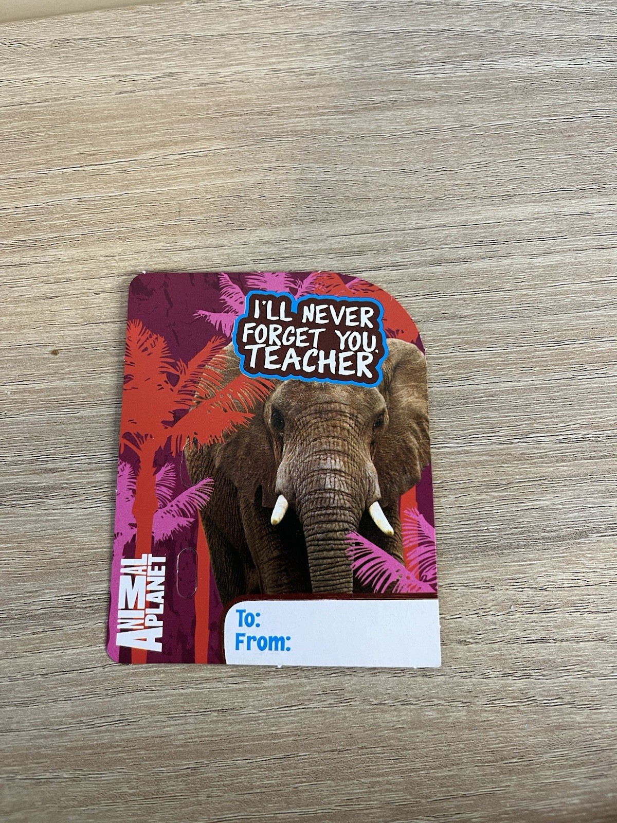 Animal Planet Valentines Days Cards Missing Lollipops