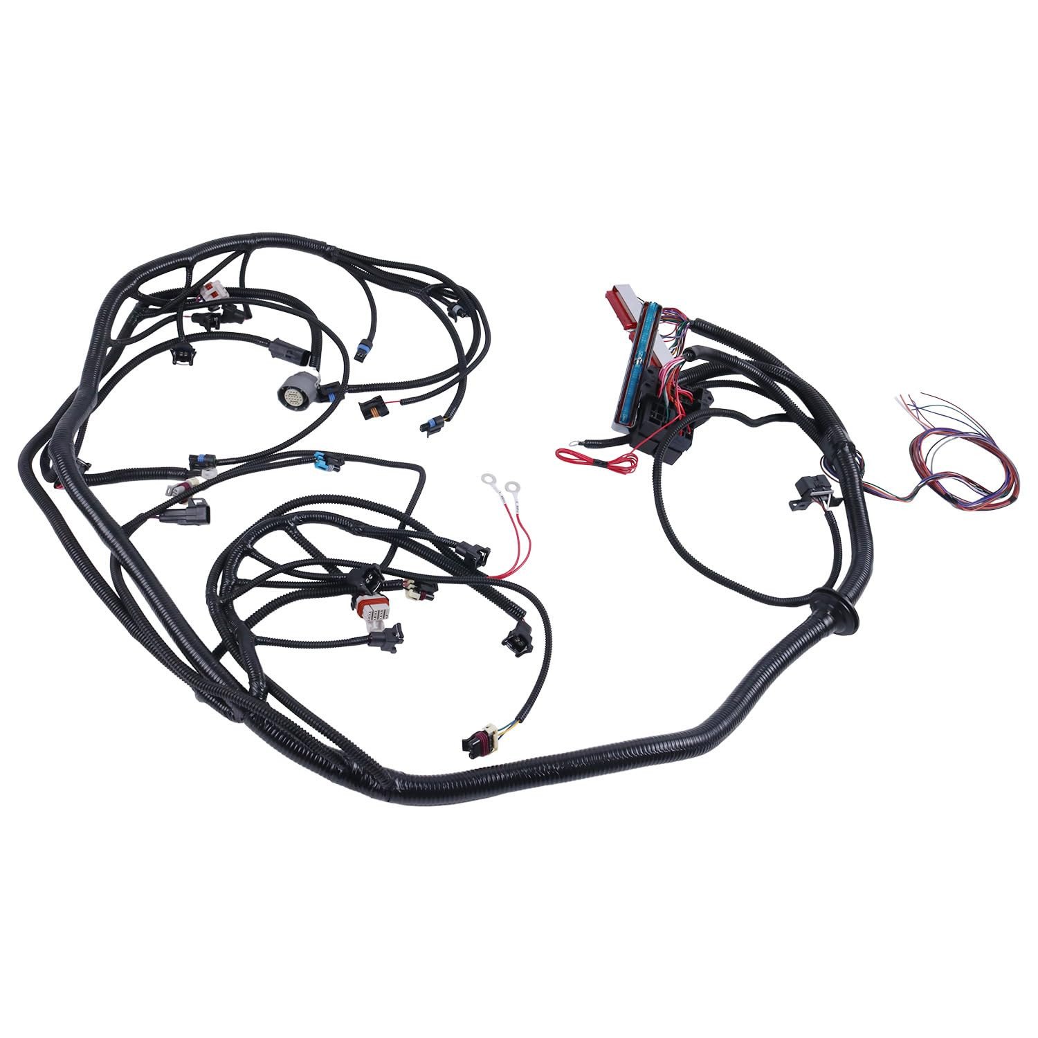 Standalone Harness with 4L80E DBC Compatible with 1997-2006 DBC LS1 4.8 5.3 6.0
