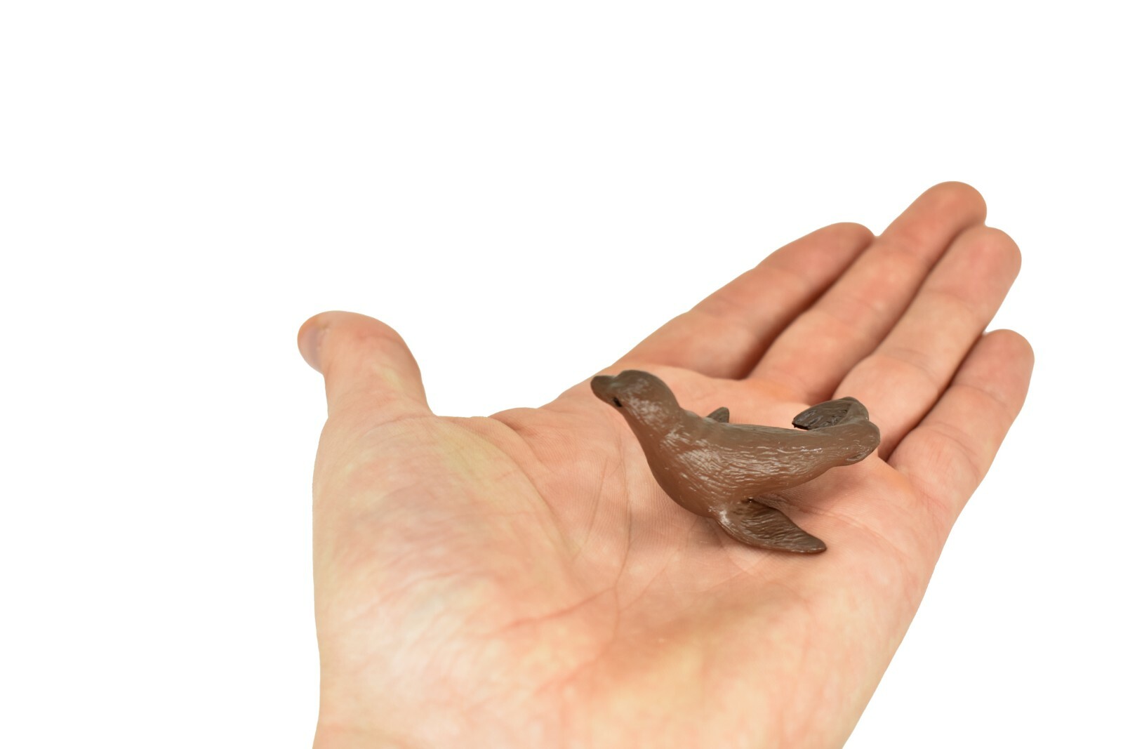 Seal, Fur Galapagos Islands Plastic Replica 2-inch – F1530 B150
