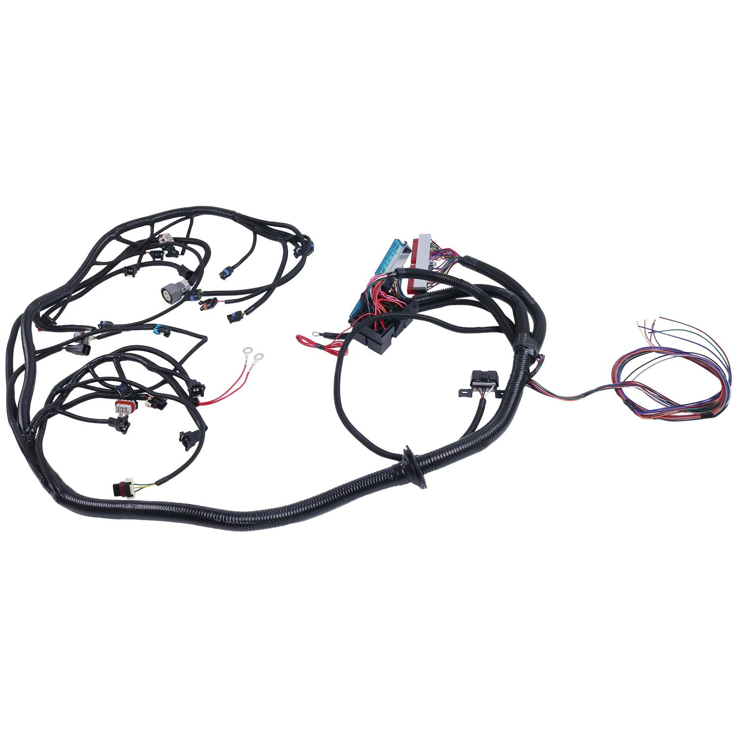 Standalone Harness with 4L80E DBC Compatible with 1997-2006 DBC LS1 4.8 5.3 6.0
