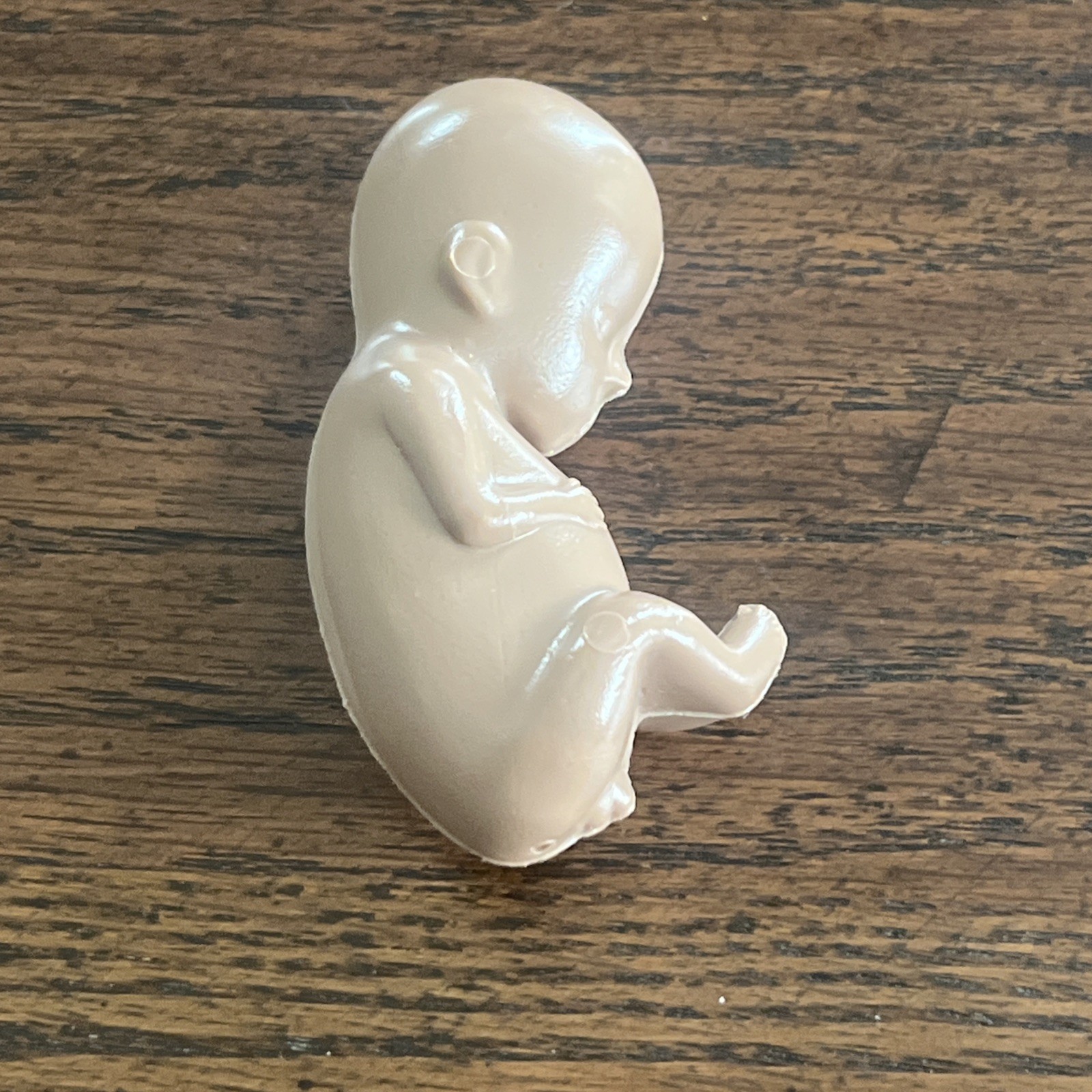 Preborn Pro-life Heats Learning Tool Fetus 11-12 Week Figure