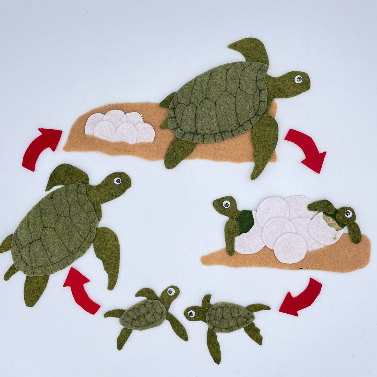 Sea Turtle Lifecycle Felt Set for Felt or Flannel Board Play