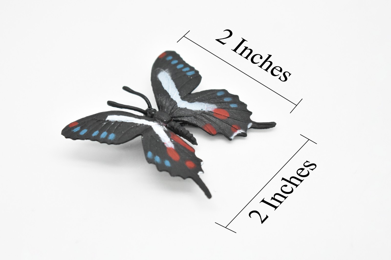 Butterfly Toy, Black, White, Blue, Red Realistic Figure, Model 2″ F4492