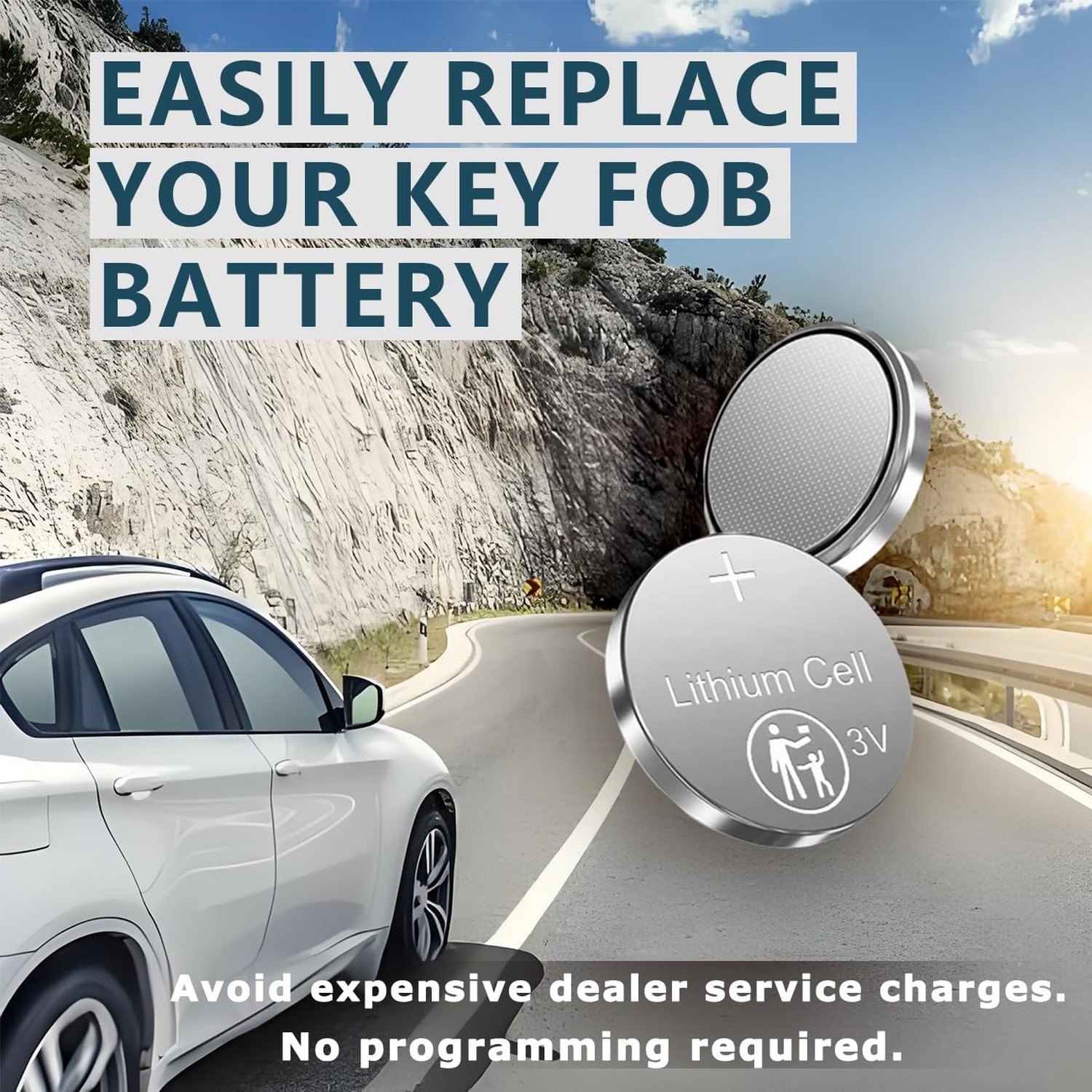 Key Fob Replacement Batteries for Ford/Lincoln CR2450 (F150 Explorer Edge Fus…