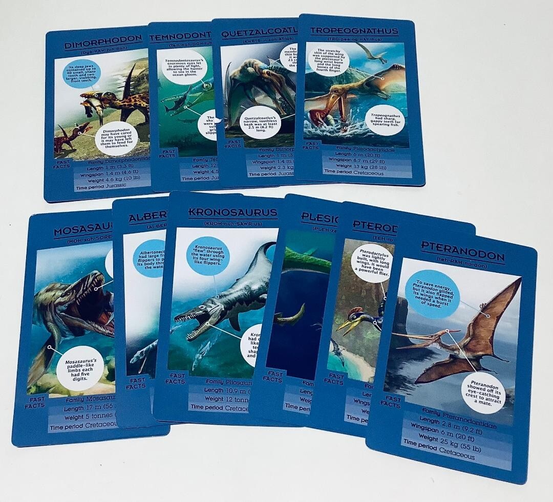 Set of 50 Dinosaur Information Travel Cards