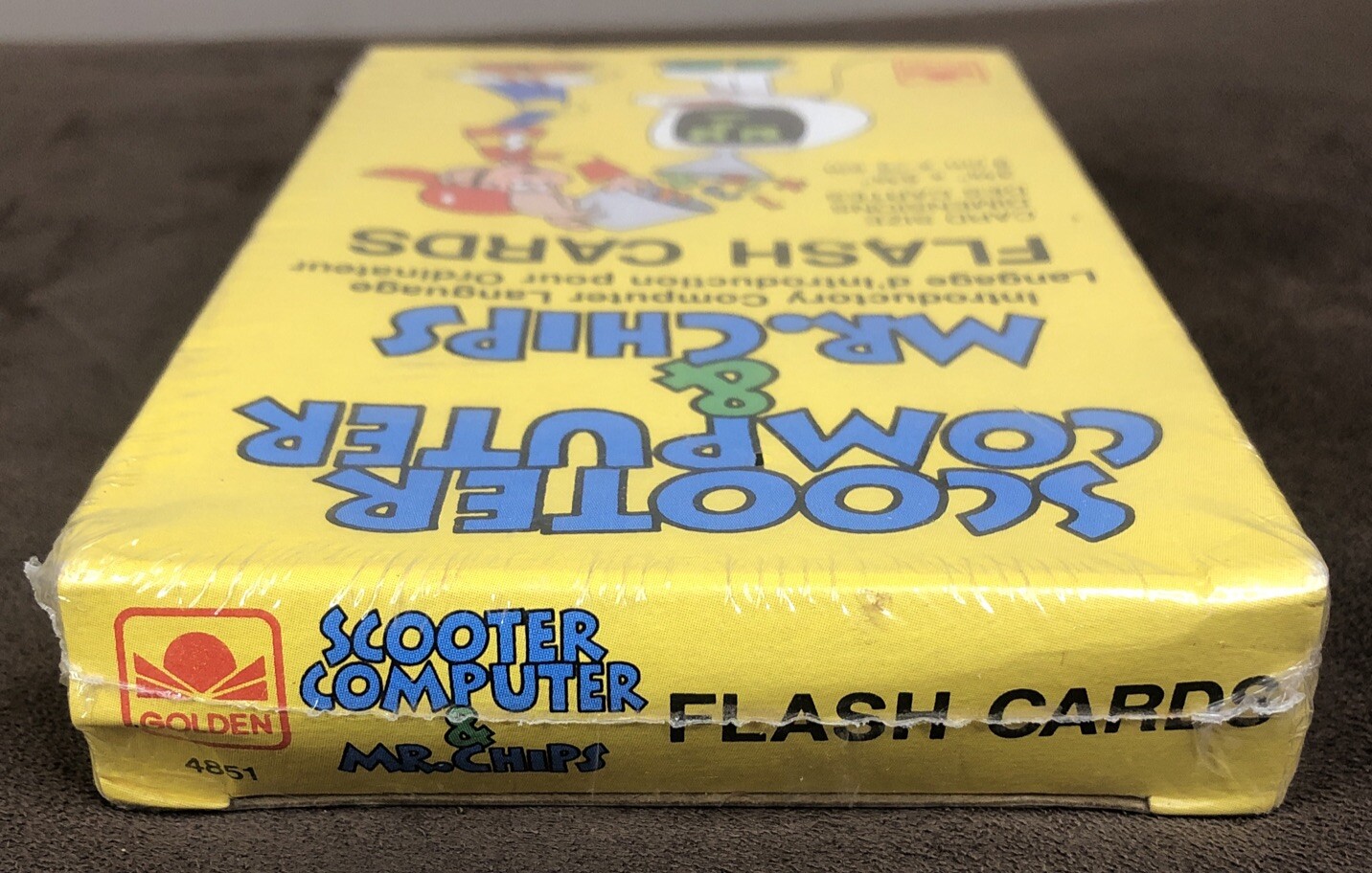Scooter Computer & Mr. Chips Introductory Computer Language FLASH CARDS 4851
