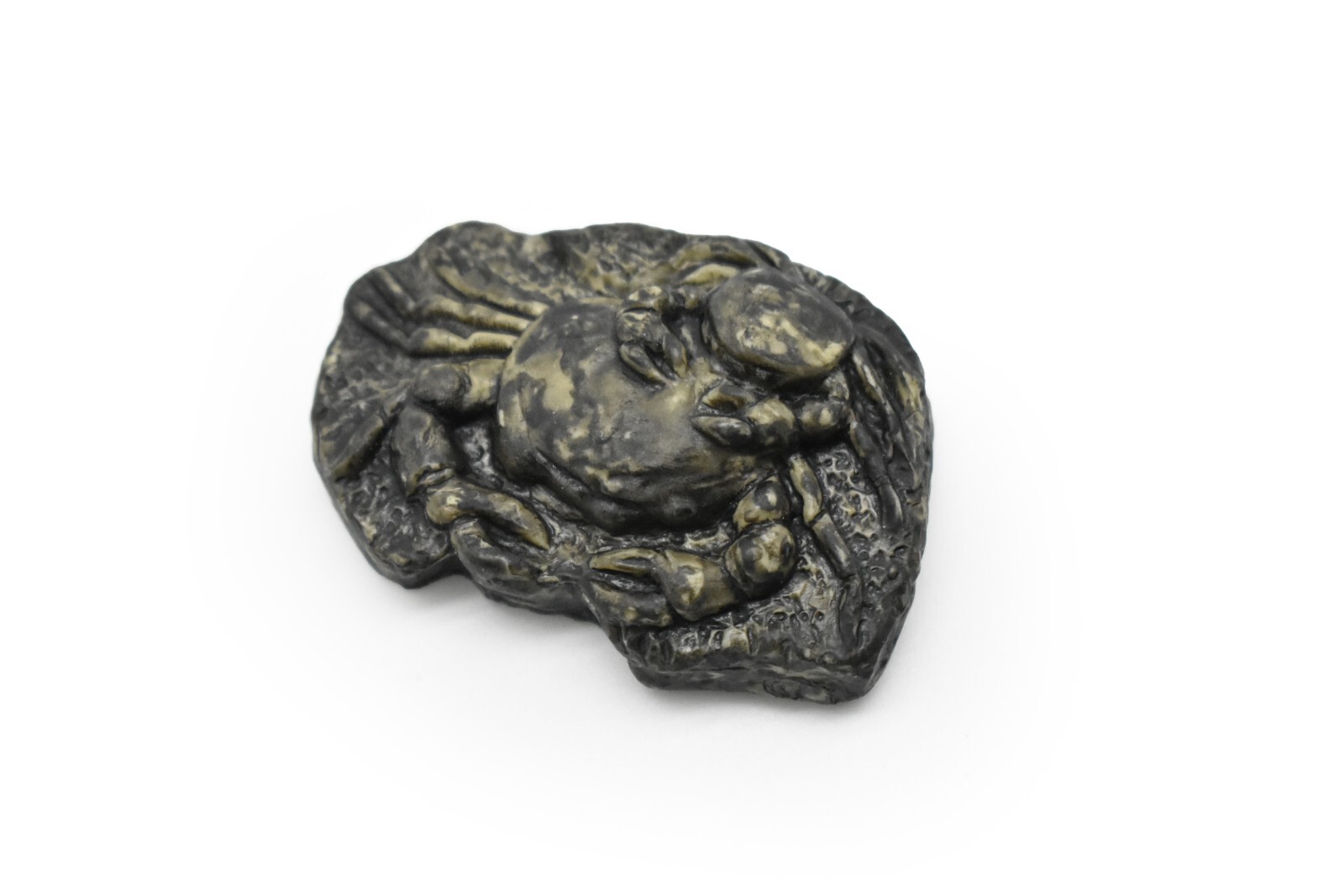 Extinct Crab Pulalius Plastic Fossil Replica 2 inches wide – F4104 B96