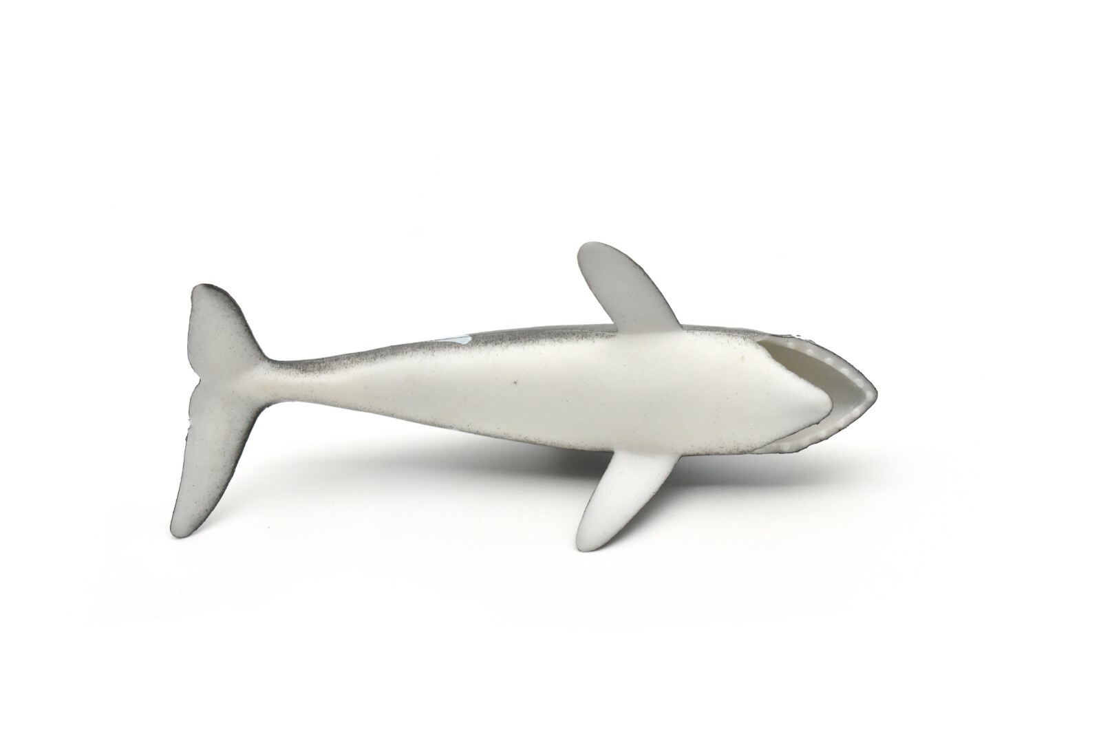 Orca, Killer Whale, Hollow Rubber Replica 5″ Long ~ F0020-B22