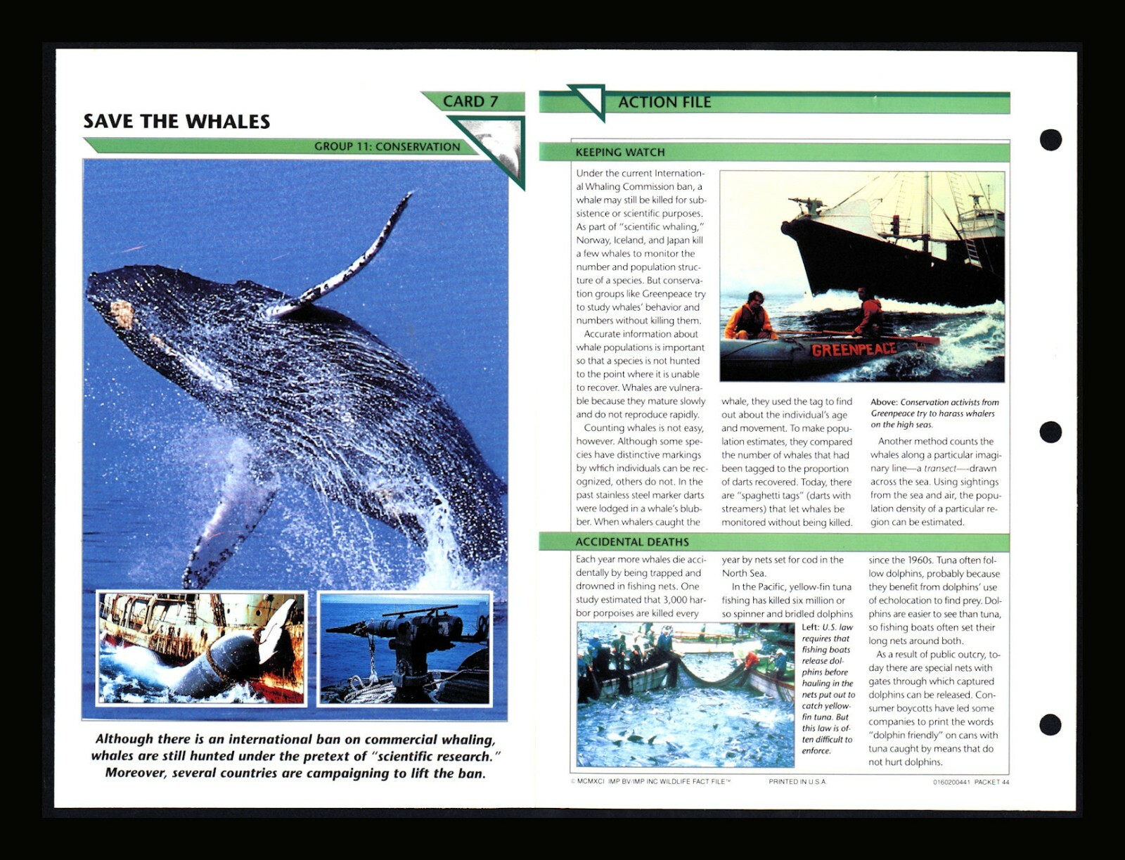 Save the Whales Wildlife Fact File Card Conservation Home School 11.7