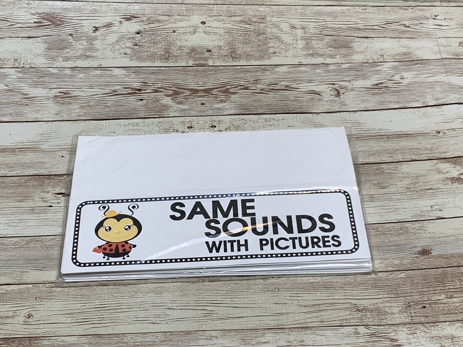 Lady Bug – Themed Learning Centers – Laminated – Same Sound With Pictures