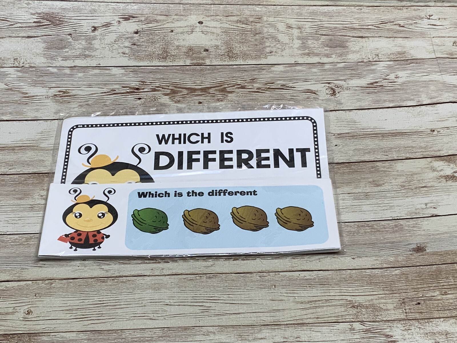 Lady Bug – Themed Learning Centers – Laminated – Which Is Different