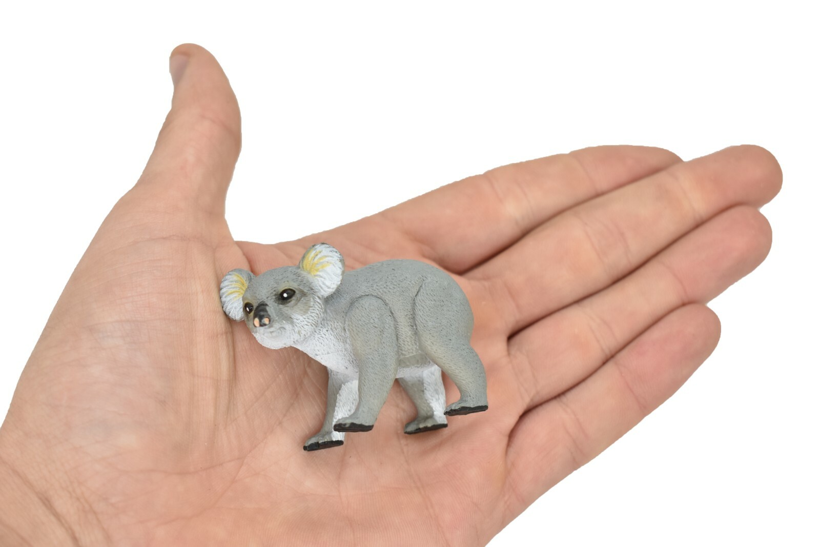 Koala Bear, ~ Very Nice Plastic Replica ~ F1088-B170