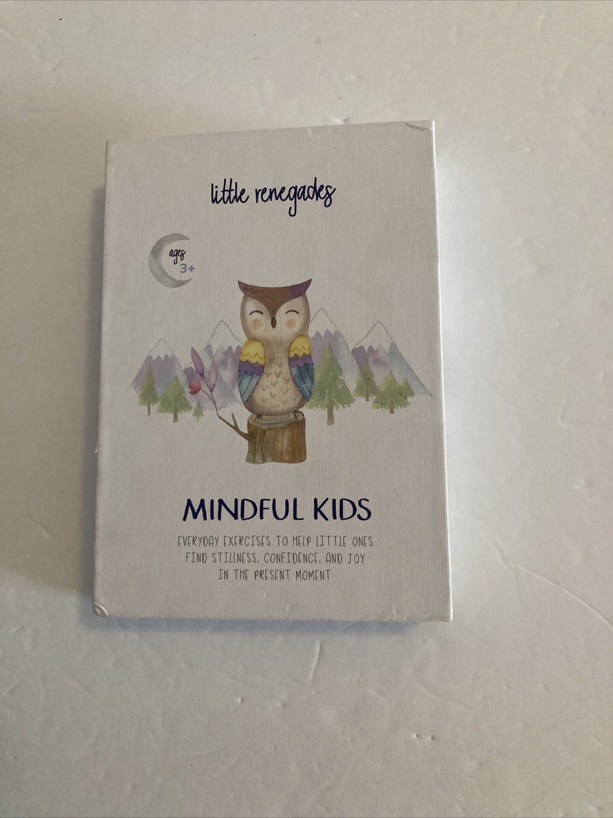 Little Renegades Mindful Kids Cards Everyday Exercises for Confidence & Joy