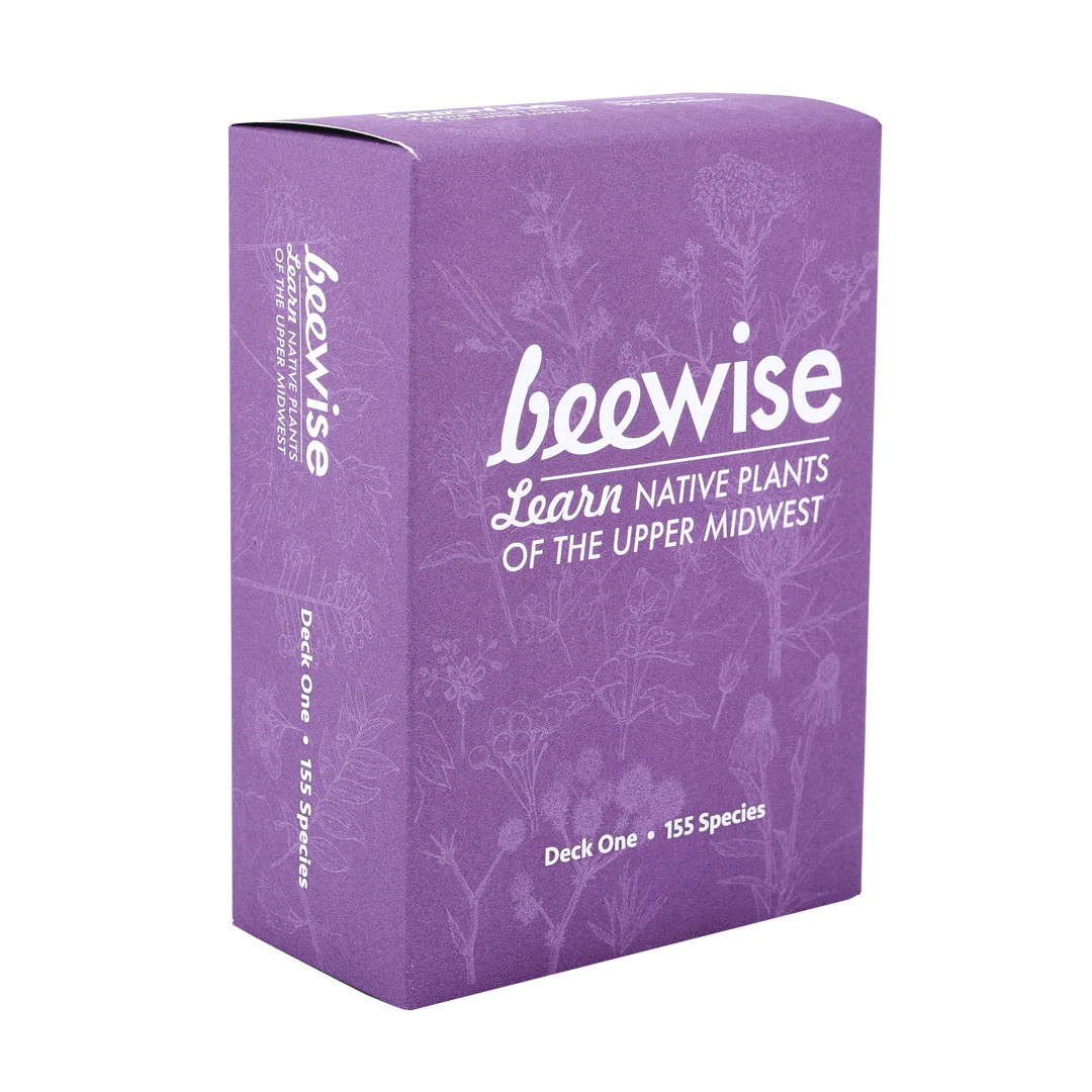 Learn Native Plants of the Upper Midwest, 155 species, flash cards