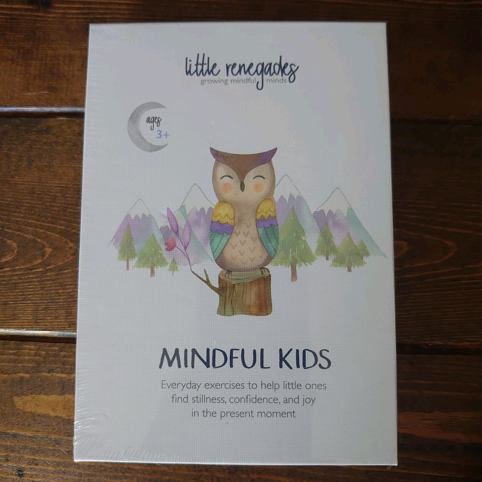Little Renegades Mindful Kids Cards Ages 3+ Daily Exercises of Mindfulness NEW
