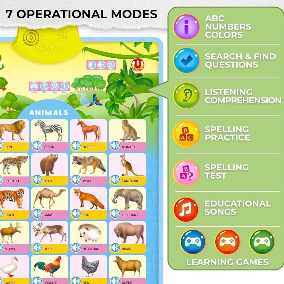 QUOKKA Interactive Learning Posters 4 In 1 Set Homeschooling Preschool School