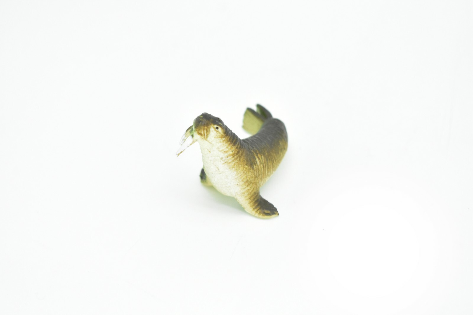 Walrus, Very Nice Plastic Replica 2″ – F220 B36