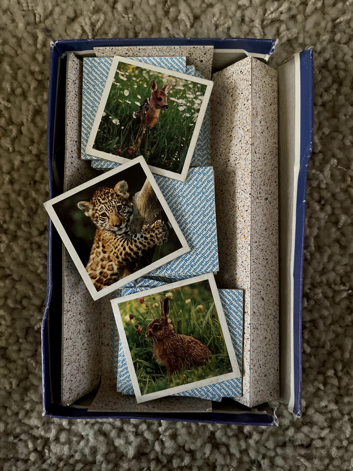 Ravensburger VTG Mix & Match Picture Pairs Fun – Animals Children’s Memory Game