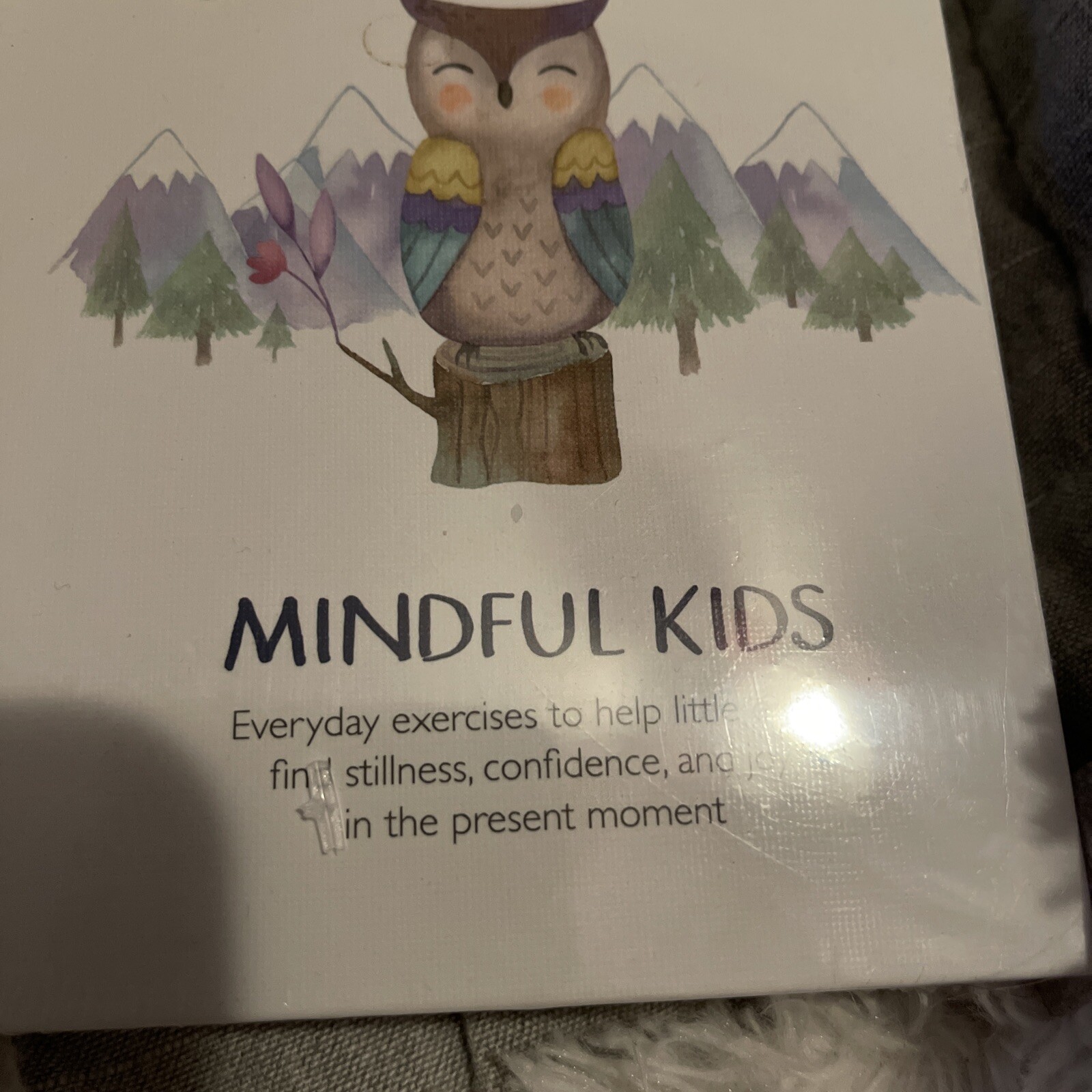 NEW Little Renegades Mindful Kids Cards: Everyday Exercises for Confidence & Joy