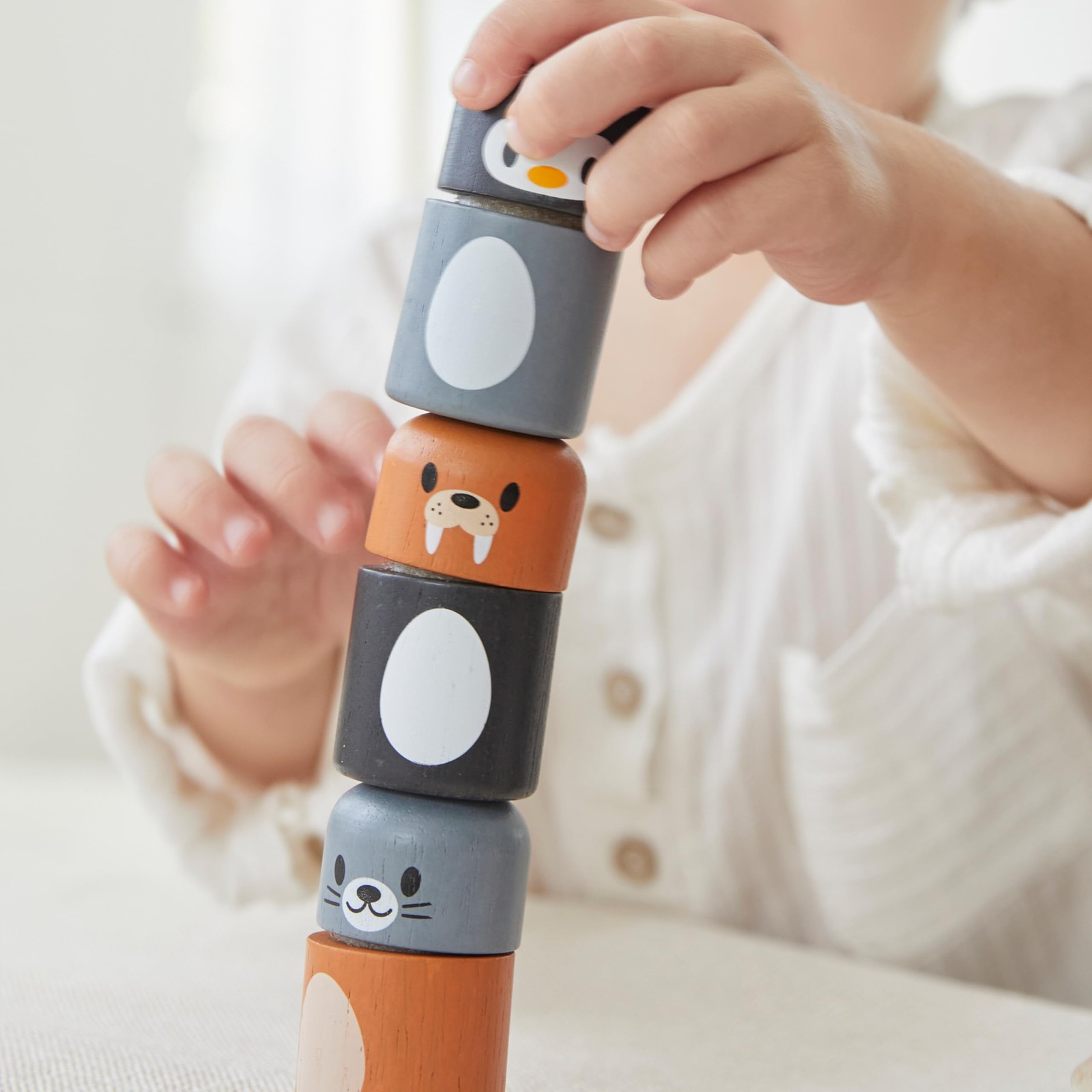 PlanToys® Arctic Animal Matching Wooden Montessori 2.36 inches, Multicolor