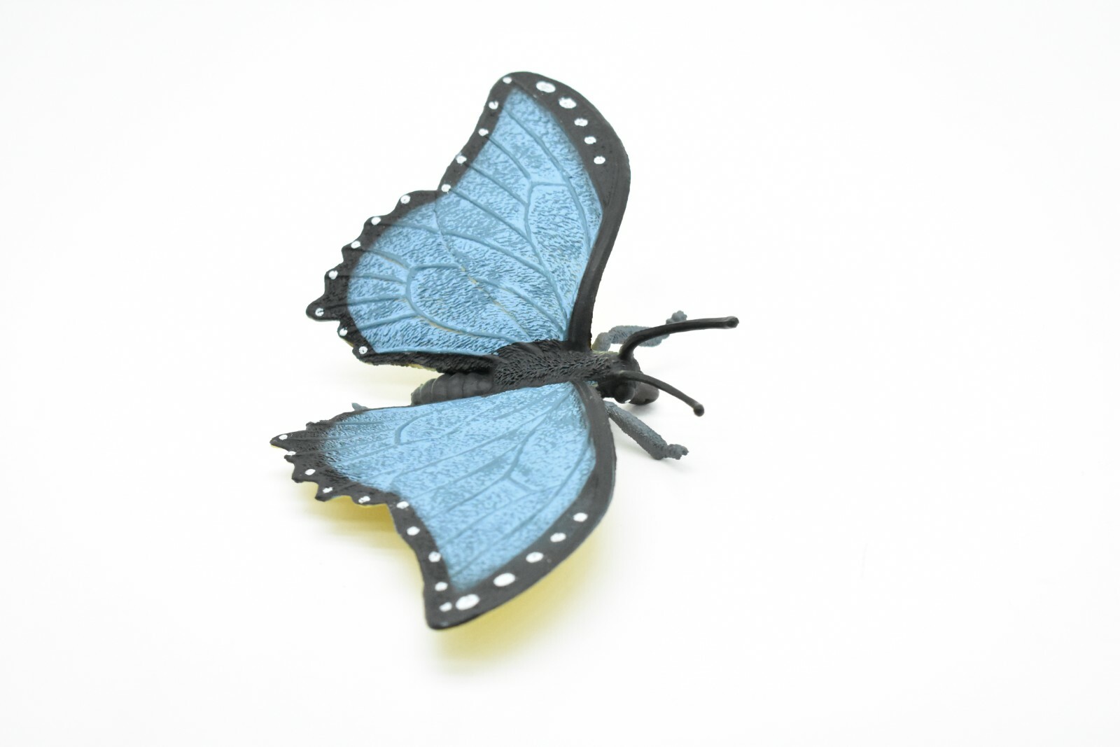 Butterfly, Blue Morpho, Realistic Very Nice Rubber Replica 8″ CWG86 B153