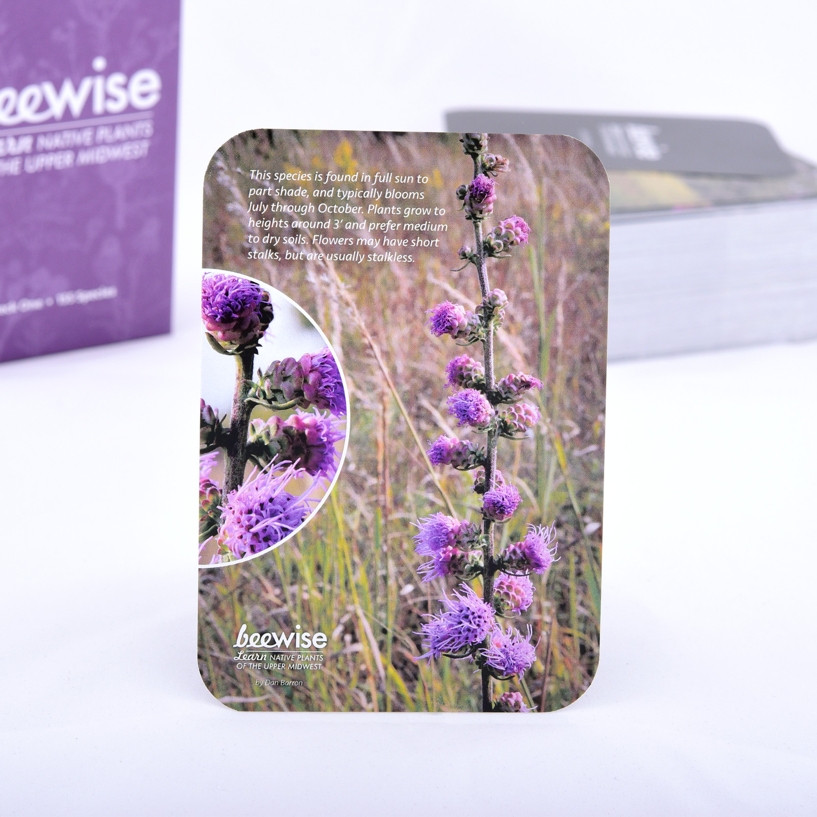 Learn Native Plants of the Upper Midwest, 155 species, flash cards