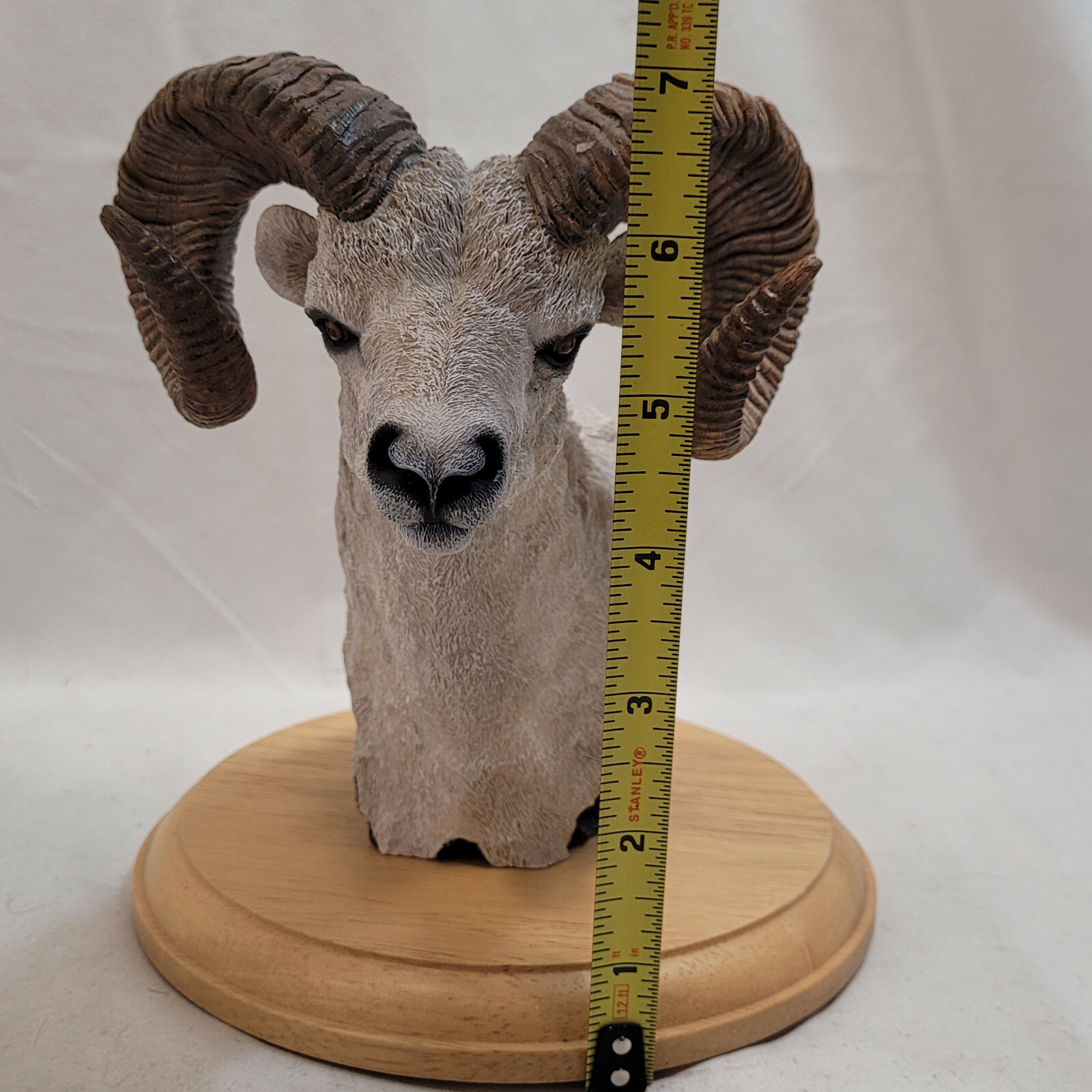 Simpkins Animal Dall Sheep / Ram Bust # 51476RB Wood Base 7″ Tall