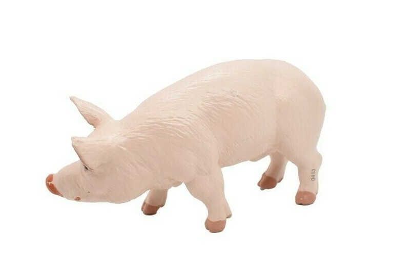 PIG / Boar Domestic Plastic Replica 4 1/2 -inch replica – F2024 B143