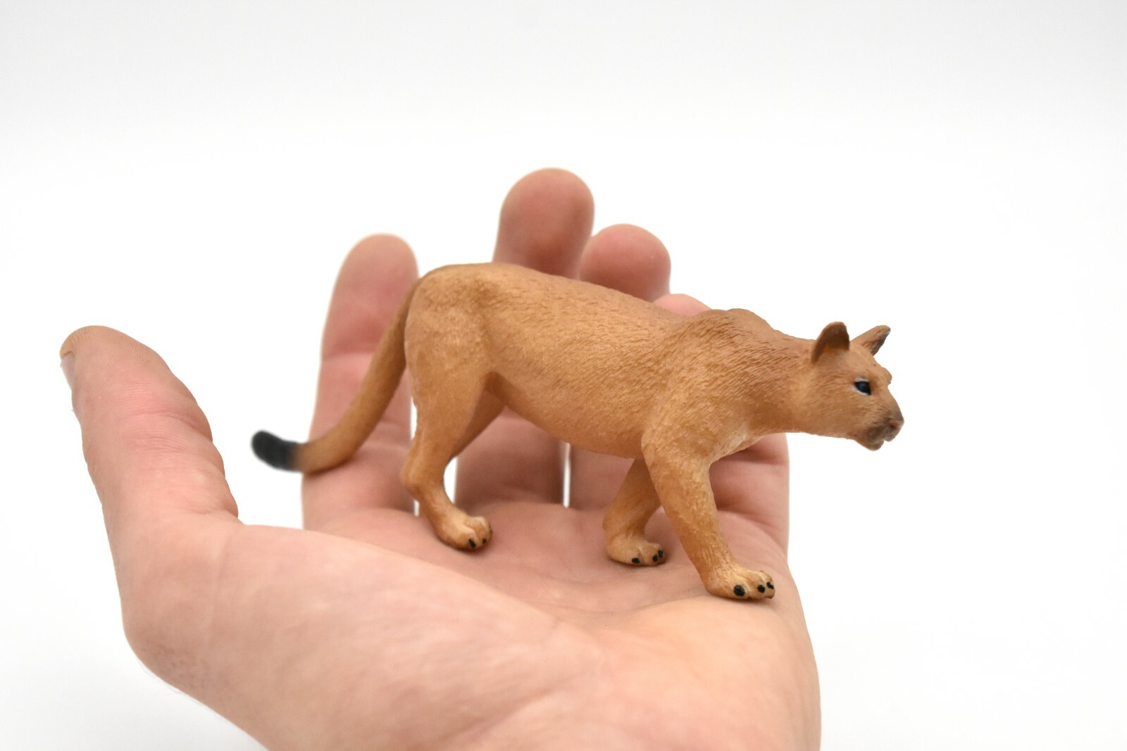 Puma, Cougar, Mountain Lion, Museum Quality Plastic Replica 5″ M127 B648