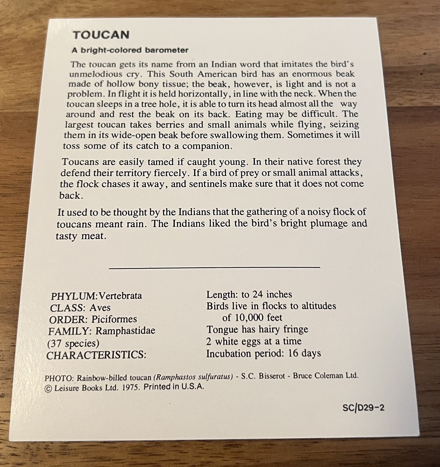VTG Animal Fact Cards KOALA-TOUCAN-TIGER-Leisure Books LTD 1975 Flash Cards