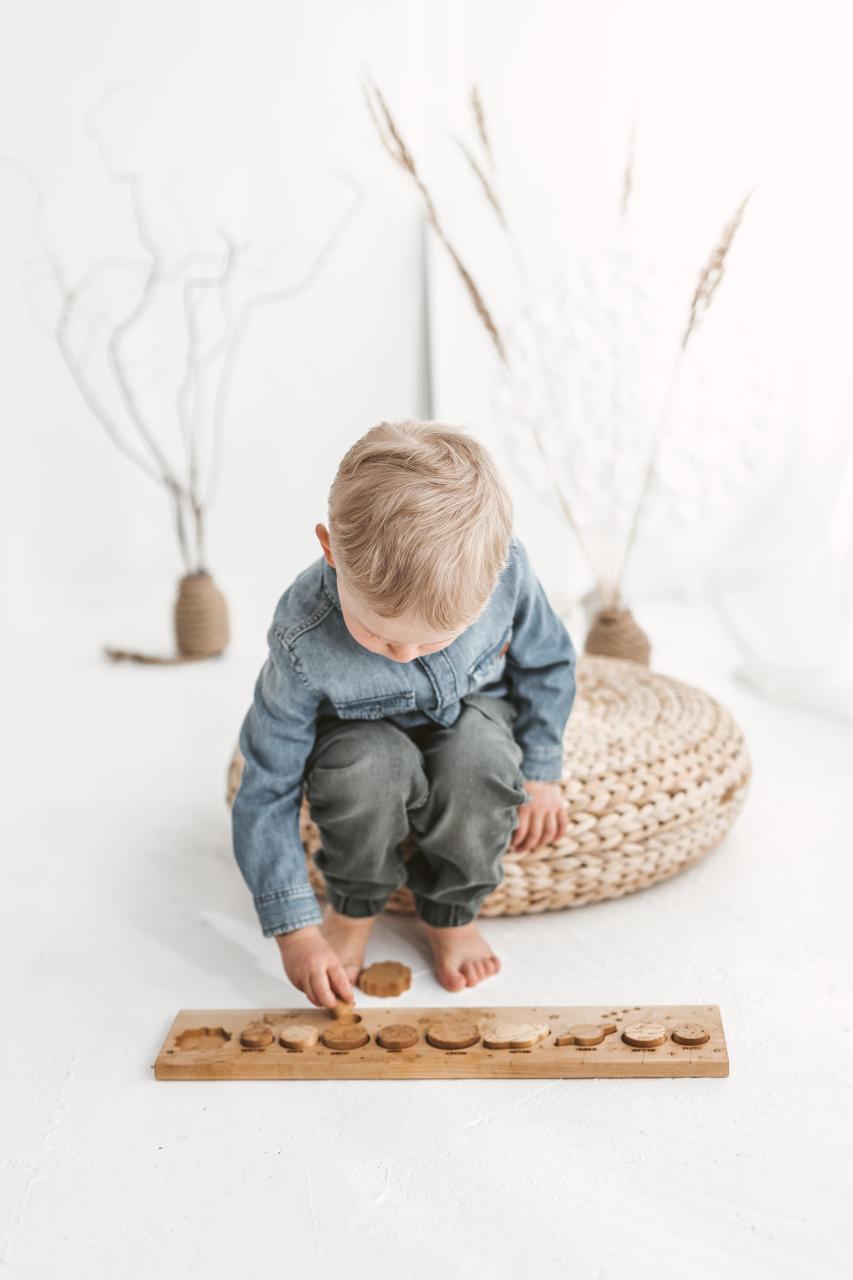 Solar system toddler puzzle toy, Montessori learning science toys, preschool