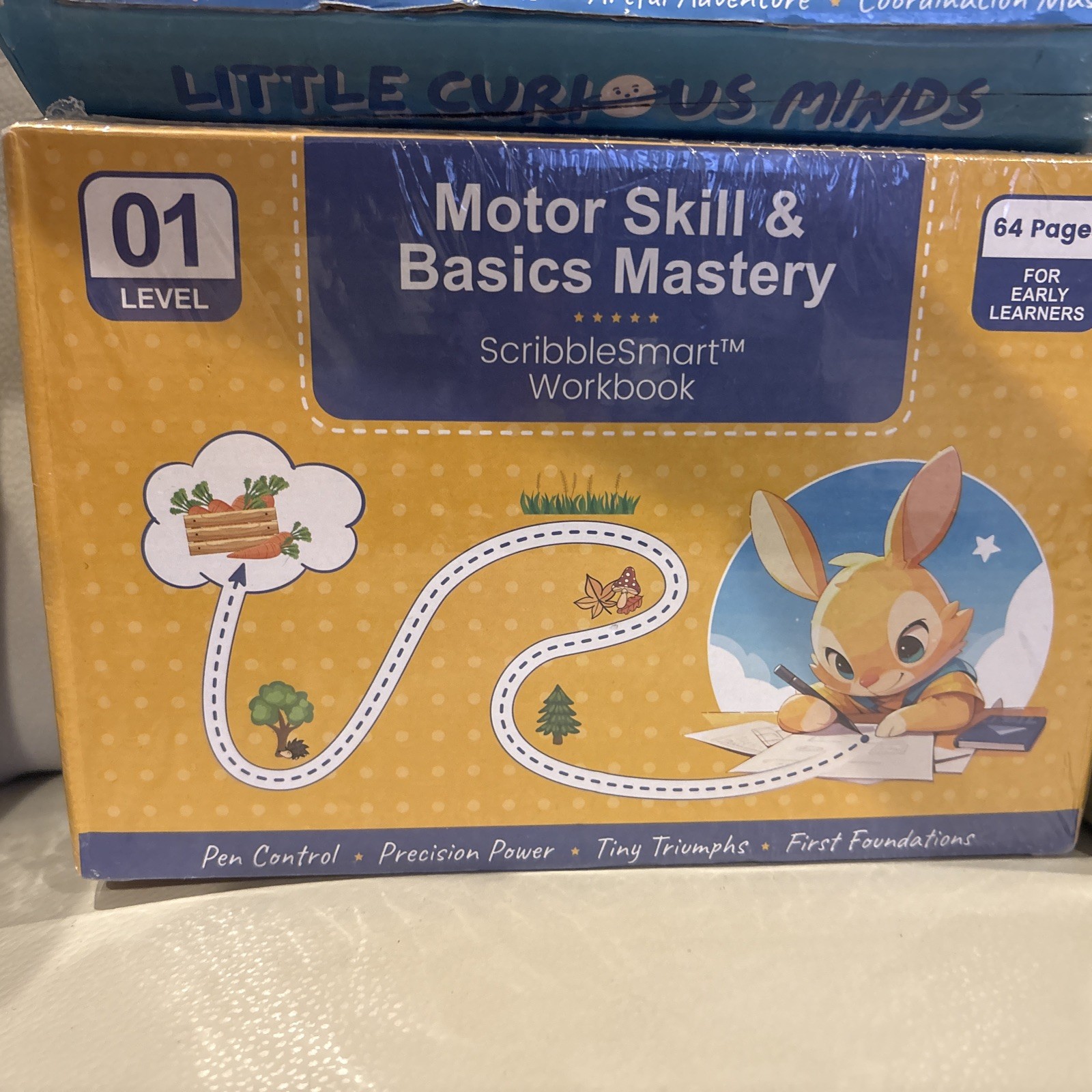 Curious Little Minds ~ ScribbleSmart Workbooks ~ All 4 Levels NEW