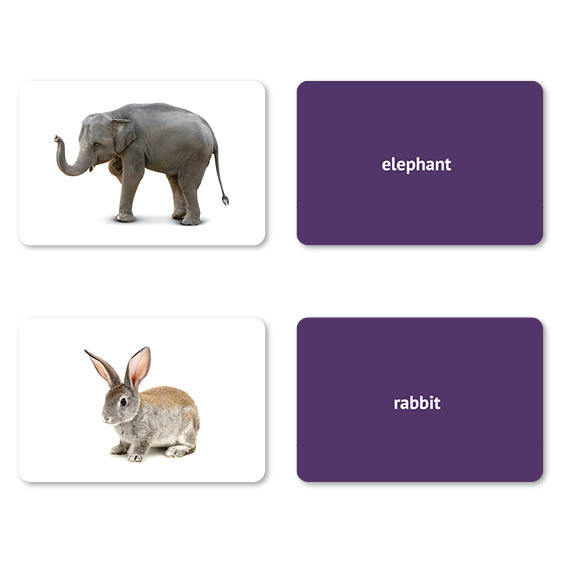 Nouns Flash Cards | 200 Language Photo Cards | Speech Therapy and ESL Materials