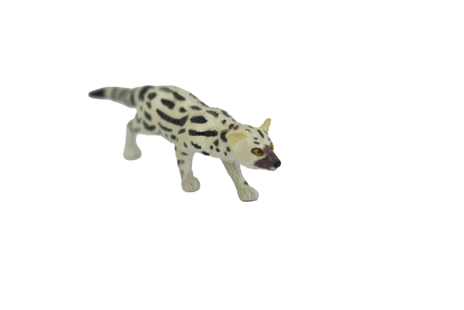 Genet Abyssinian, Ethiopian Plastic Replica 3 inch – F1070 B175