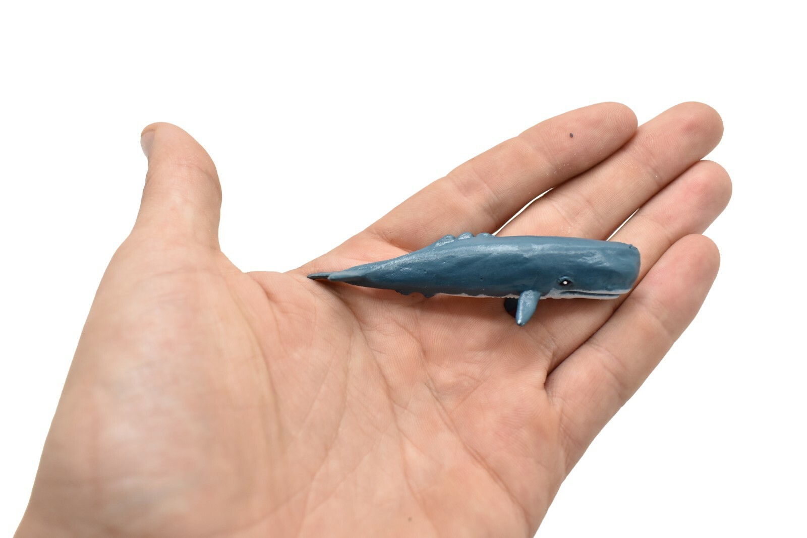 Sperm Whale Plastic Replica 3Long ~ F3909-B9