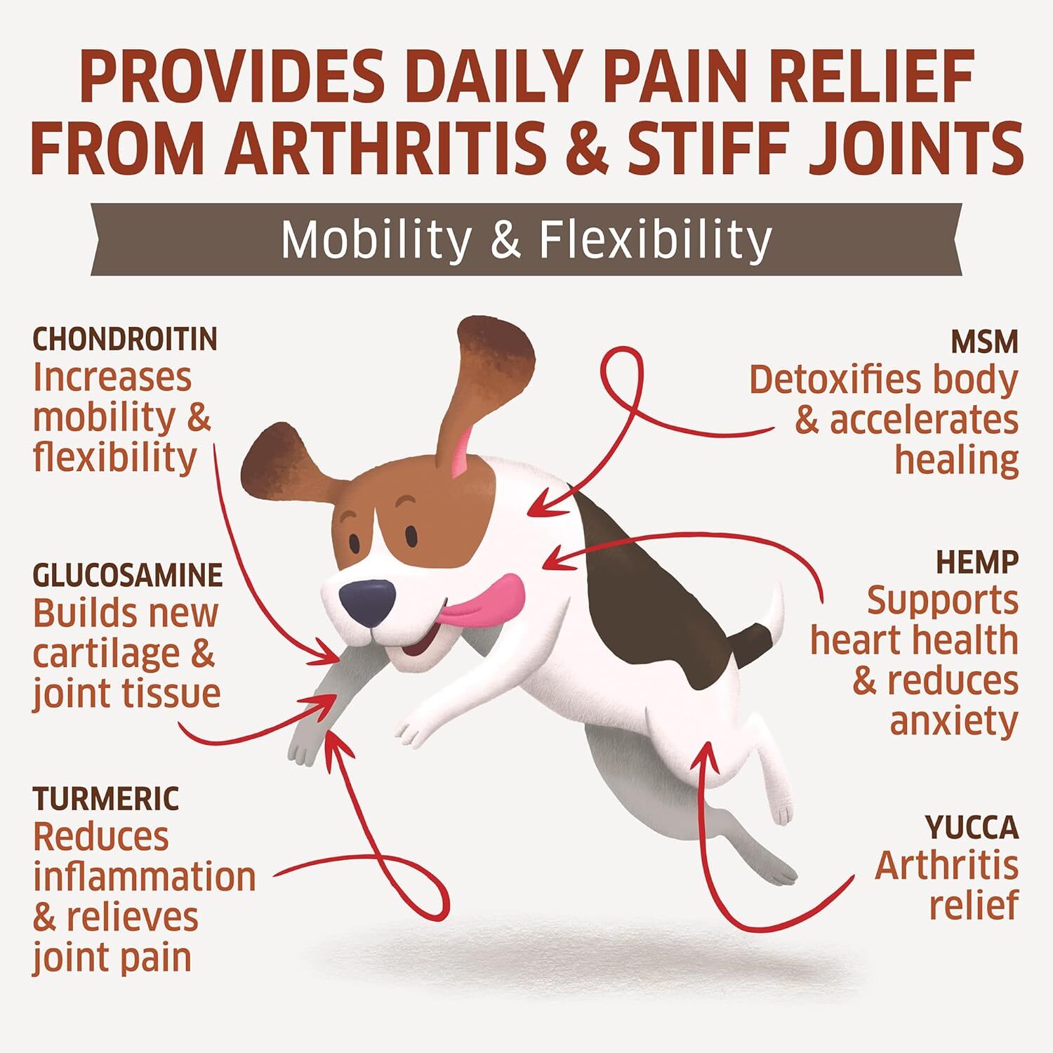 Hemp Hip and Joint Supplement for Dogs – Glucosamine for Dogs – Glucosamine