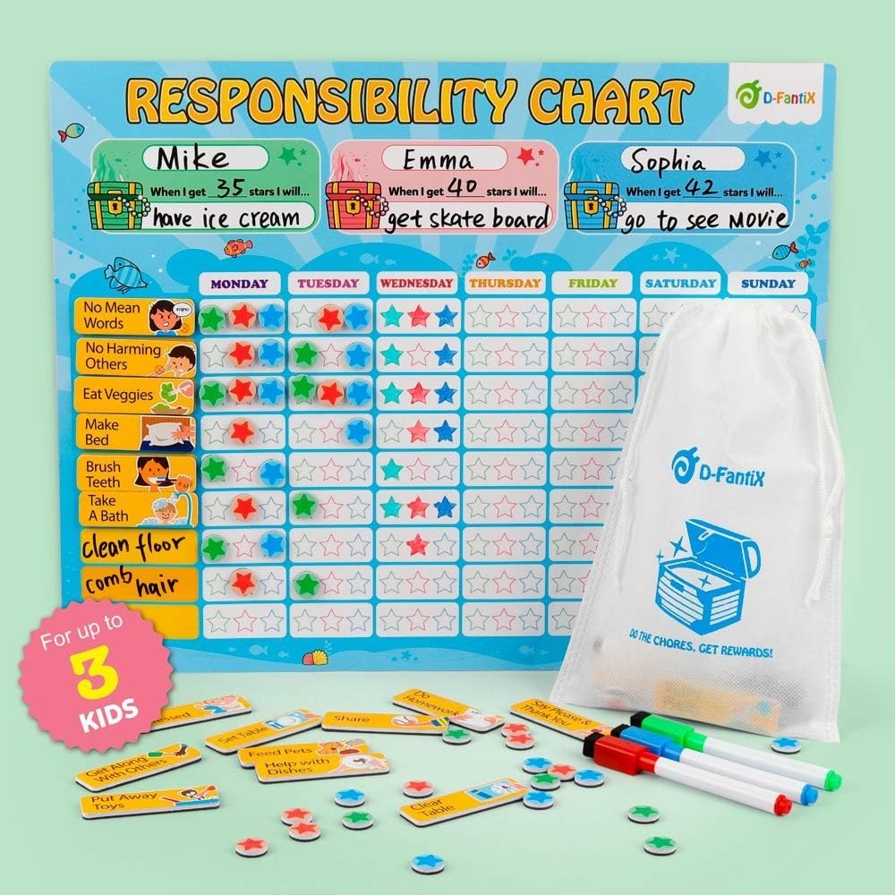 Magnetic Responsibility Chart with 3 Packs of Task Magnets for Positive Behavior
