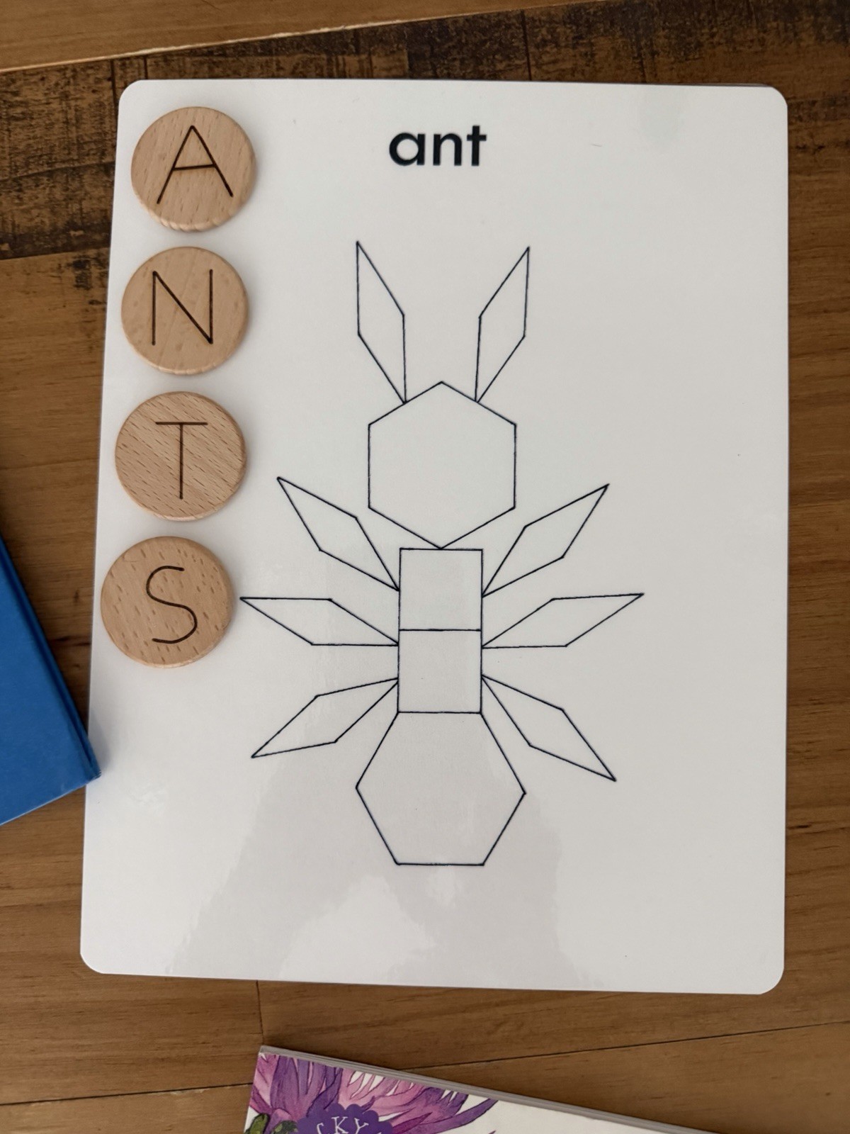 Ant Study Hands-On Learning Open-ended Learning (bundle) ant sensory