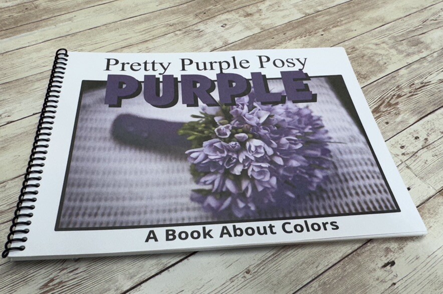 Colors Series – 6 Book Set | LEARNING COLORS | Spiral Bound Picture Book SET 2