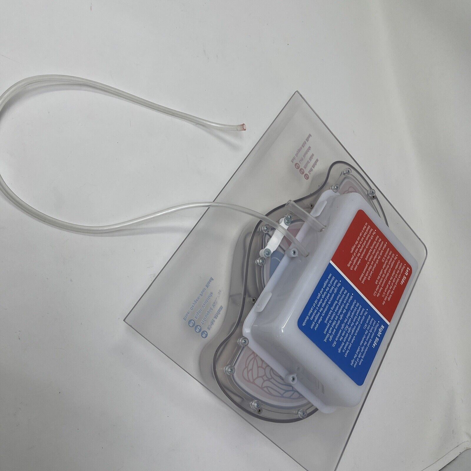 For Parts Learning Resources Teacher Education Biology Pumping Heart NO PUMP