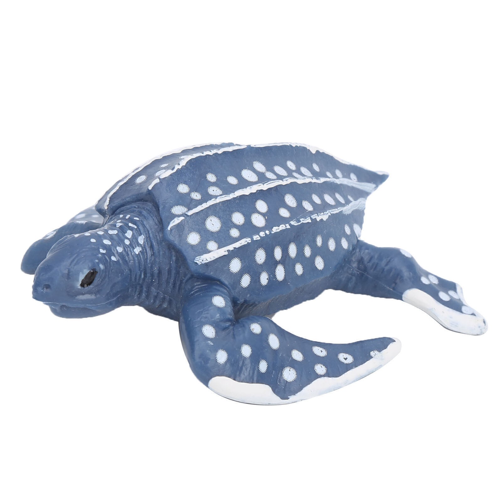 The Simulation Animal Model Sea Life Animals Life Cycle Cognitive Model