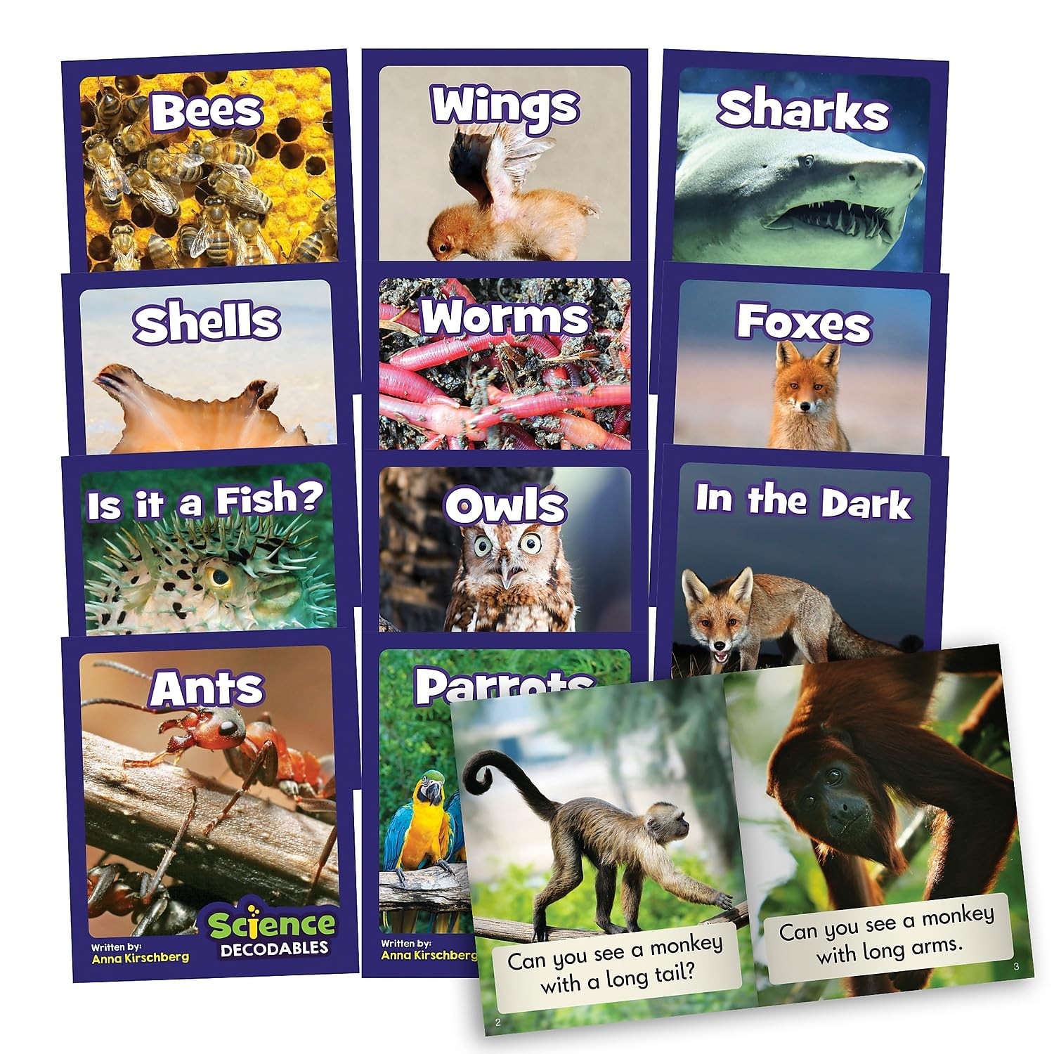 Science Decodables Phase 3 Non-Fiction, Multicolor, onse Size