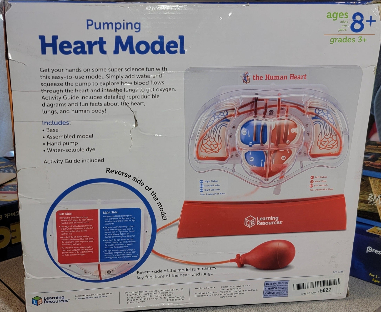 Learning Resources LER3535 Pumping Heart Model, Teaching Aid, Educational