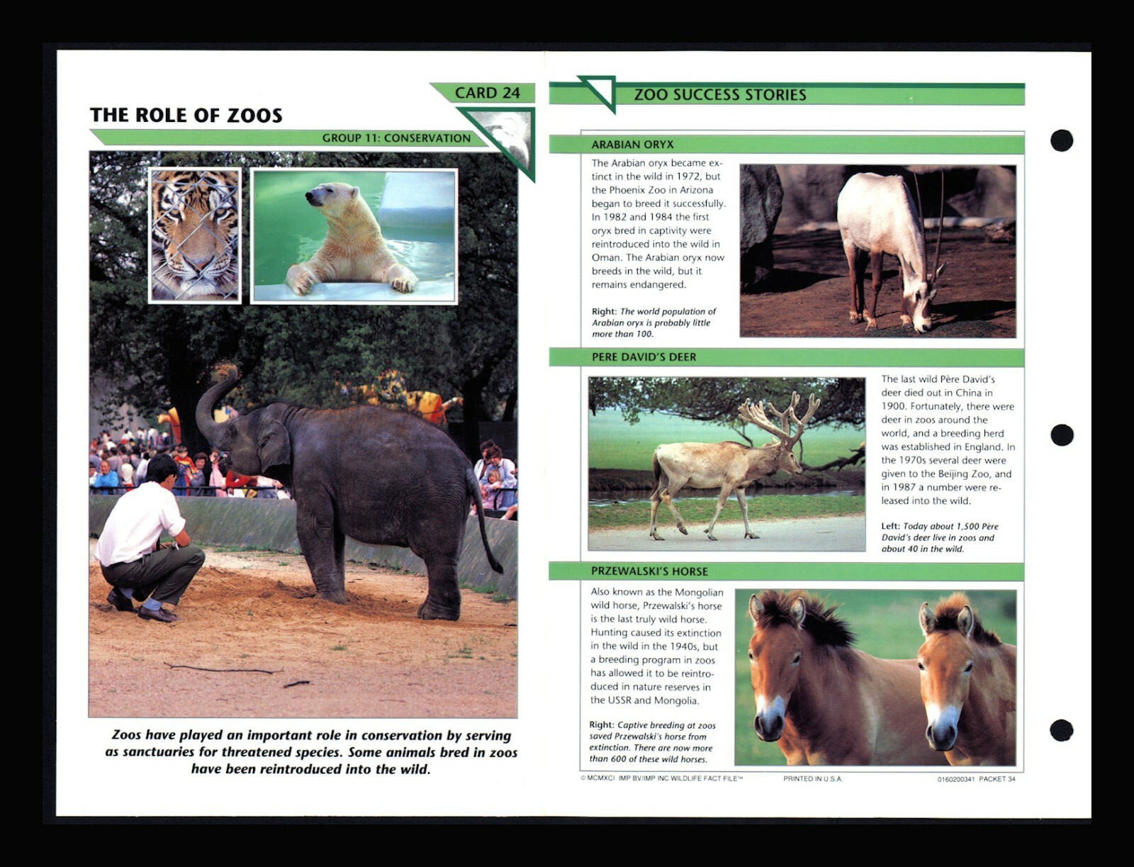 The Role of Zoos Wildlife Fact File Card Conservation Home School 11.24