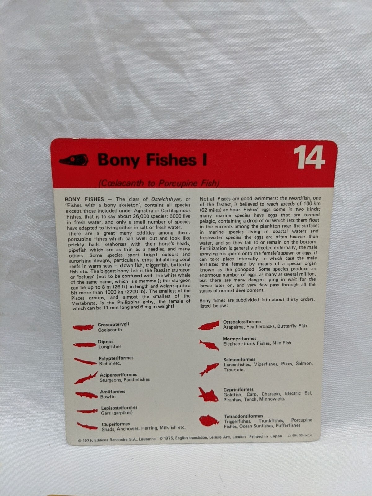 Lot Of (10) 1975 Rencontre Bony Fishes 1 Education Cards
