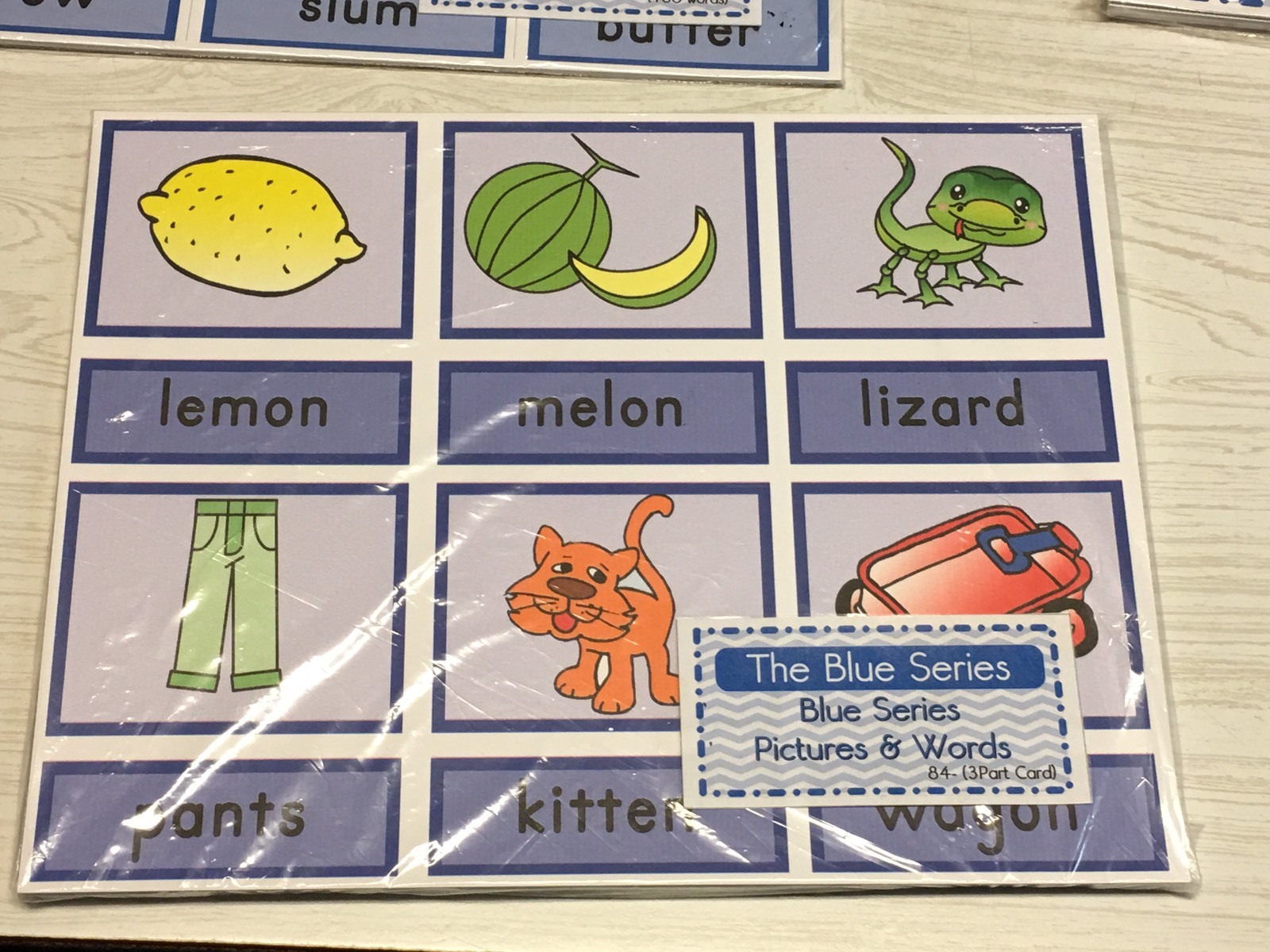 The Blue Series – Pictures & Words 108 (Three Part Card) Laminated Montessori